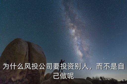 為什么風(fēng)投公司要投資別人，而不是自己做呢