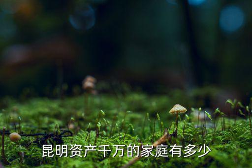 昆明資產(chǎn)千萬(wàn)的家庭有多少