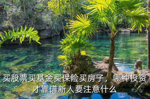 買股票買基金買保險買房子，哪種投資才靠譜新人要注意什么