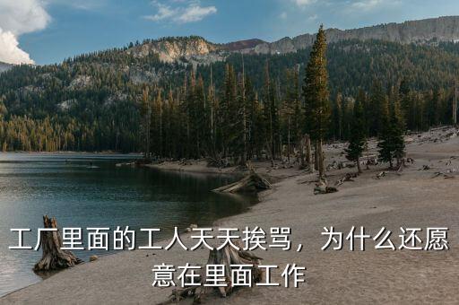 工廠里面的工人天天挨罵，為什么還愿意在里面工作