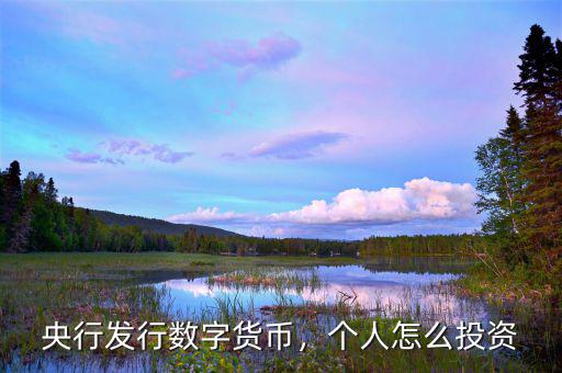 央行發(fā)行數(shù)字貨幣，個(gè)人怎么投資