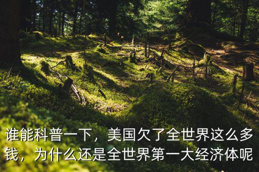 誰能科普一下，美國欠了全世界這么多錢，為什么還是全世界第一大經(jīng)濟(jì)體呢
