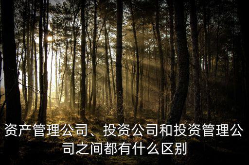 資產(chǎn)管理公司、投資公司和投資管理公司之間都有什么區(qū)別