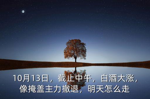 10月13日，截止中午，白酒大漲，像掩蓋主力撤退，明天怎么走