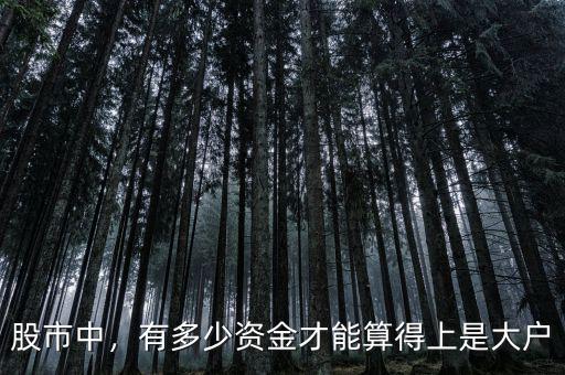 股市中，有多少資金才能算得上是大戶