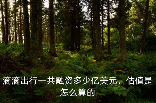 滴滴出行一共融資多少億美元，估值是怎么算的