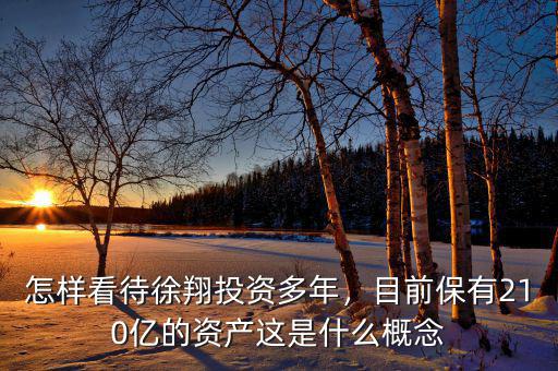 怎樣看待徐翔投資多年，目前保有210億的資產(chǎn)這是什么概念