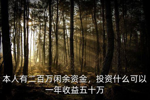 本人有二百萬閑余資金，投資什么可以一年收益五十萬