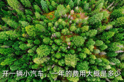 轎車開(kāi)一年能虧多少錢,開(kāi)一輛小汽車