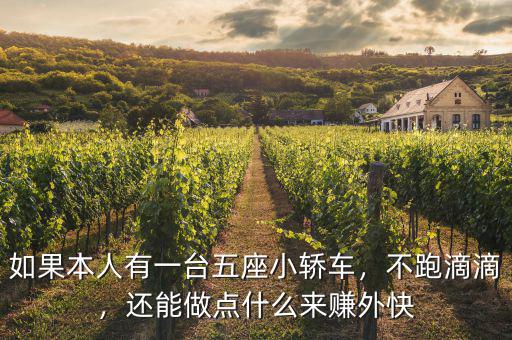 如果本人有一臺(tái)五座小轎車(chē)，不跑滴滴，還能做點(diǎn)什么來(lái)賺外快