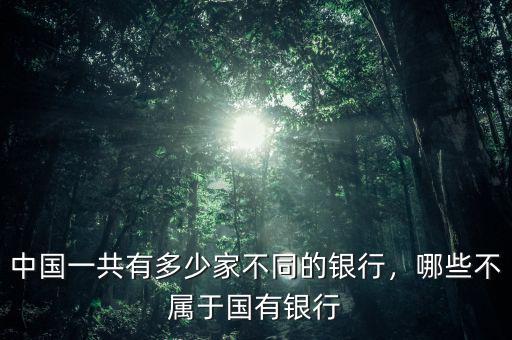 中國一共有多少家不同的銀行，哪些不屬于國有銀行