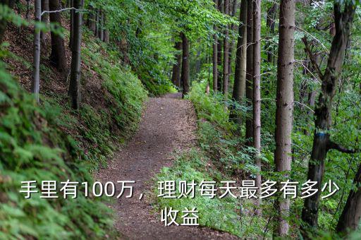 手里有100萬(wàn)，理財(cái)每天最多有多少收益