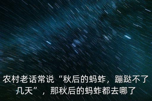 農(nóng)村老話常說“秋后的螞蚱，蹦跶不了幾天”，那秋后的螞蚱都去哪了