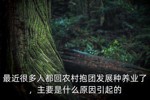 最近很多人都回農(nóng)村抱團(tuán)發(fā)展種養(yǎng)業(yè)了，主要是什么原因引起的