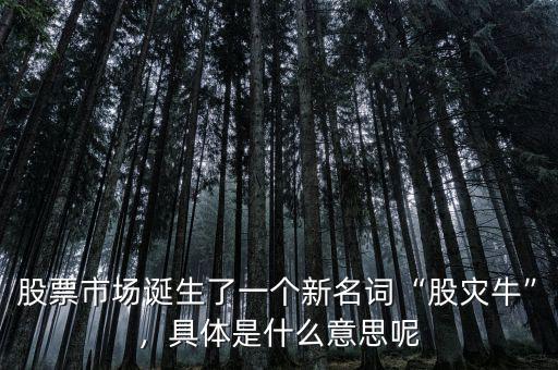 股票市場(chǎng)誕生了一個(gè)新名詞“股災(zāi)?！保唧w是什么意思呢