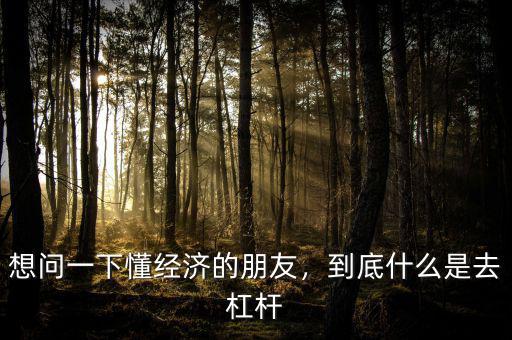 想問一下懂經(jīng)濟的朋友，到底什么是去杠桿