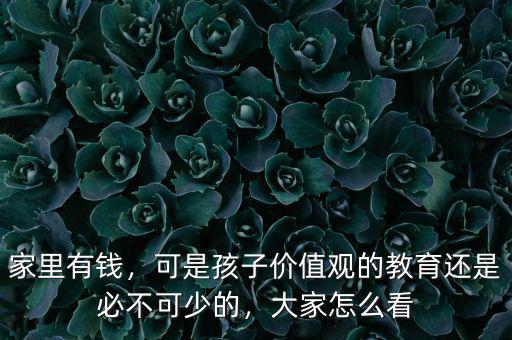 家里有錢，可是孩子價值觀的教育還是必不可少的，大家怎么看