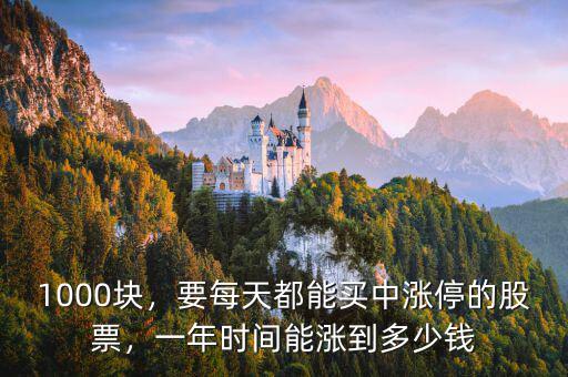 1000塊，要每天都能買中漲停的股票，一年時間能漲到多少錢