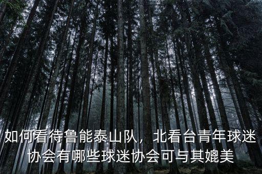 如何看待魯能泰山隊(duì)，北看臺青年球迷協(xié)會有哪些球迷協(xié)會可與其媲美
