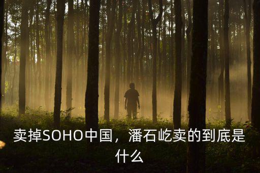 賣(mài)掉SOHO中國(guó)，潘石屹賣(mài)的到底是什么