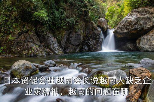 日本貿(mào)促會(huì)駐越南會(huì)長(zhǎng)說越南人缺乏企業(yè)家精神，越南的問題在哪