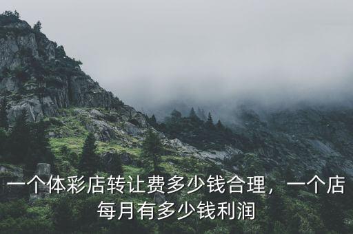 一個體彩店轉(zhuǎn)讓費多少錢合理，一個店每月有多少錢利潤