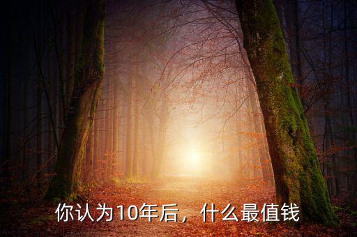 你認(rèn)為10年后，什么最值錢