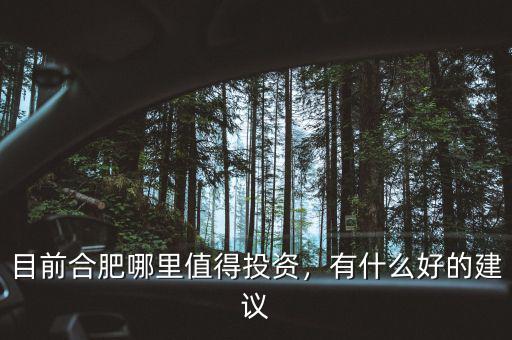 目前合肥哪里值得投資，有什么好的建議