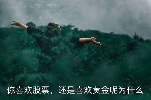 你喜歡股票，還是喜歡黃金呢為什么