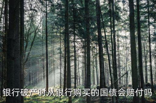 銀行破產(chǎn)時(shí)從銀行購買的國(guó)債會(huì)賠付嗎