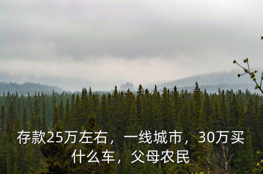 存款25萬左右，一線城市，30萬買什么車，父母農(nóng)民