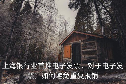 上海銀行業(yè)首推電子發(fā)票，對于電子發(fā)票，如何避免重復(fù)報(bào)銷
