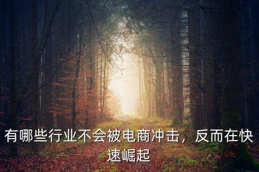 有哪些行業(yè)不會被電商沖擊，反而在快速崛起