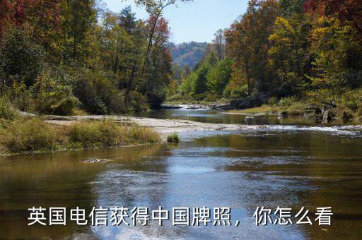 英國電信獲得中國牌照，你怎么看