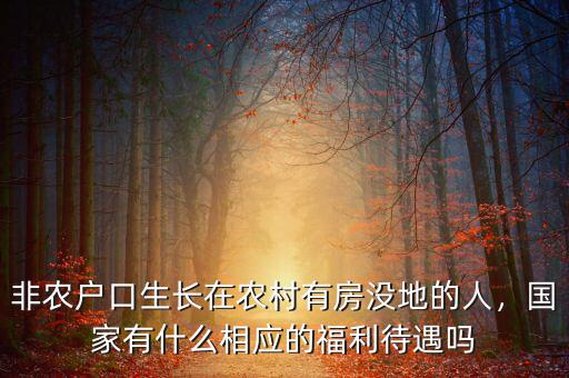 非農(nóng)戶口生長在農(nóng)村有房沒地的人，國家有什么相應(yīng)的福利待遇嗎