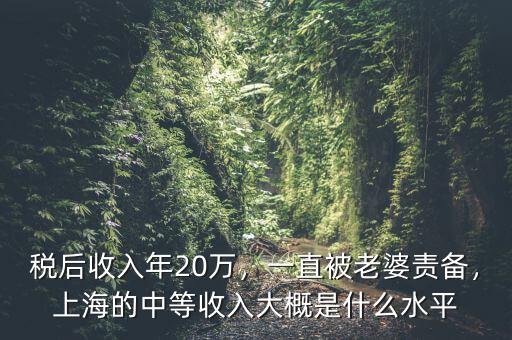 稅后收入年20萬，一直被老婆責(zé)備，上海的中等收入大概是什么水平