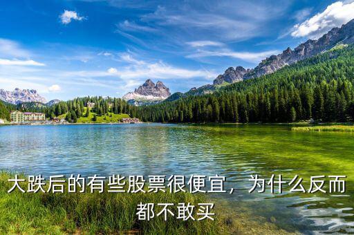 大跌后的有些股票很便宜，為什么反而都不敢買
