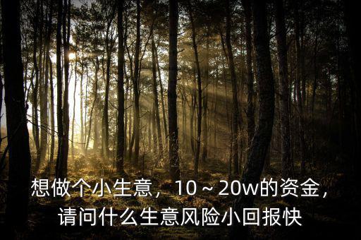 想做個小生意，10～20w的資金，請問什么生意風(fēng)險小回報快