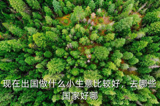 現(xiàn)在出國做什么小生意比較好，去哪些國家好哪