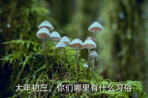 大年初三，你們哪里有什么習(xí)俗