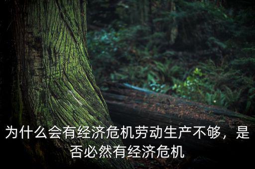 為什么會有經(jīng)濟危機勞動生產(chǎn)不夠，是否必然有經(jīng)濟危機