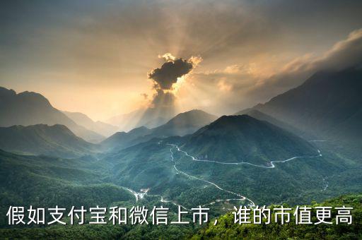 假如支付寶和微信上市，誰(shuí)的市值更高