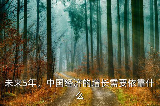 未來5年，中國經(jīng)濟(jì)的增長需要依靠什么