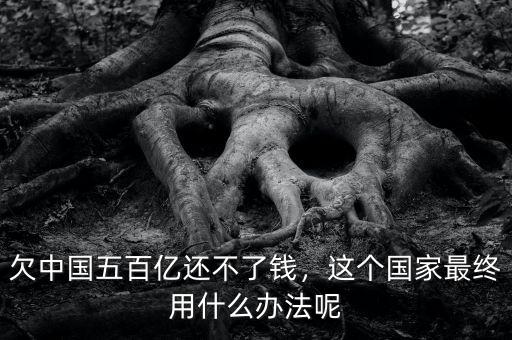 欠中國五百億還不了錢，這個國家最終用什么辦法呢