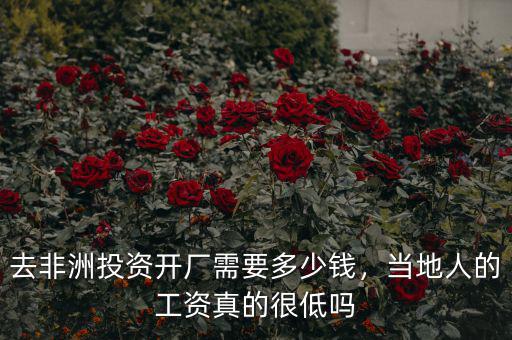 去非洲投資開廠需要多少錢，當?shù)厝说墓べY真的很低嗎