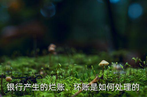 銀行產(chǎn)生的爛賬、壞賬是如何處理的