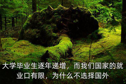 大學(xué)畢業(yè)生逐年遞增，而我們國家的就業(yè)口有限，為什么不選擇國外