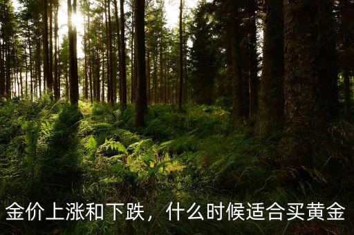 金價(jià)上漲和下跌，什么時(shí)候適合買(mǎi)黃金