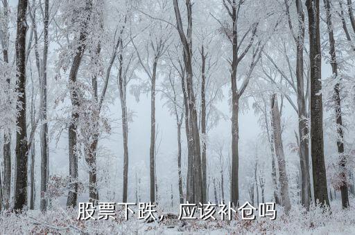 股票下跌，應(yīng)該補倉嗎