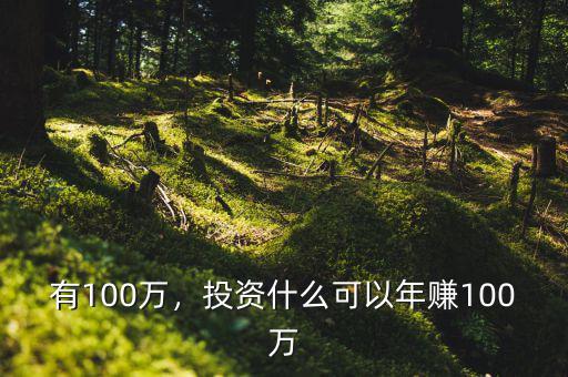有100萬，投資什么可以年賺100萬